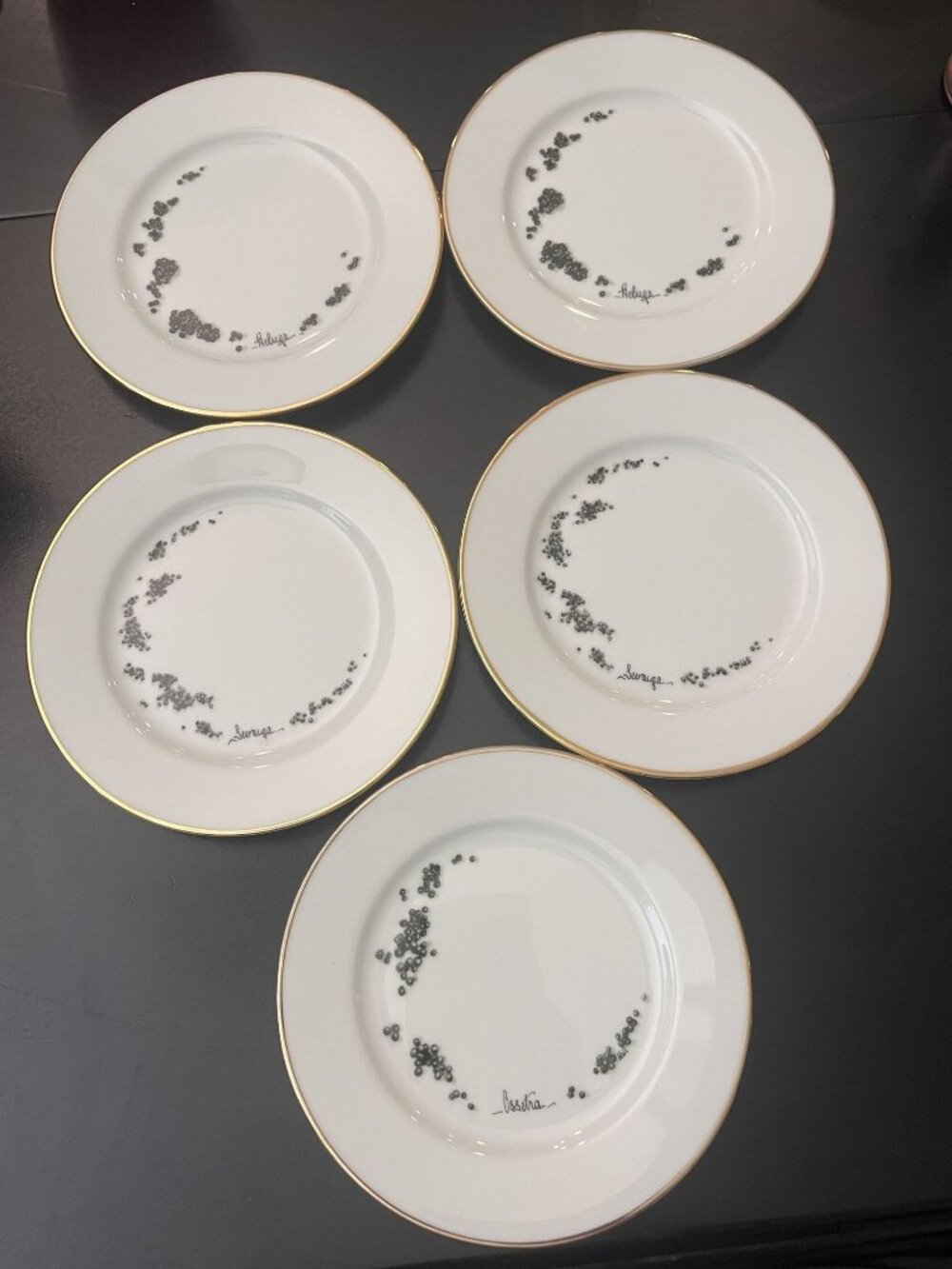 Williams Sonoma Caviar Plates 6-1/2" Set of 5